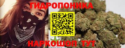 прущие крисы Пугачёв