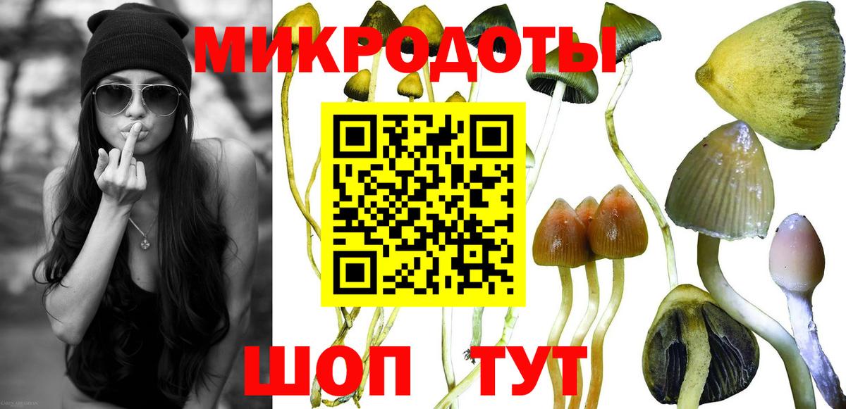 Семилуки  Галлюциногенные грибы MAGIC MUSHROOMS  Вход с VPN 