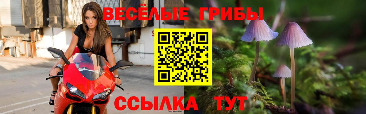 Псилоцибиновые грибы мицелий Семилуки